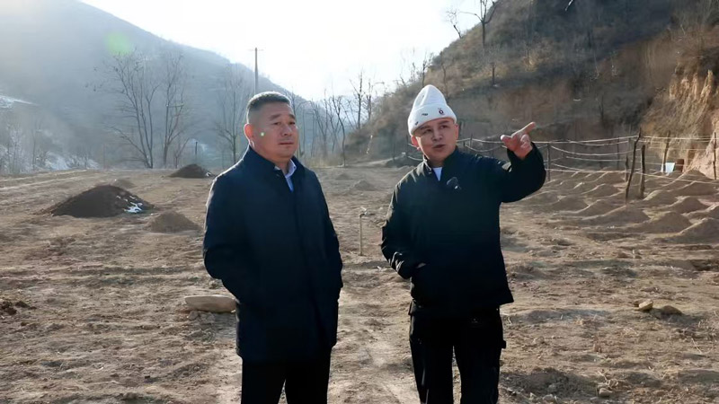 张伟的石头——一位黄土高原企业家的两千万与一个未凉的梦