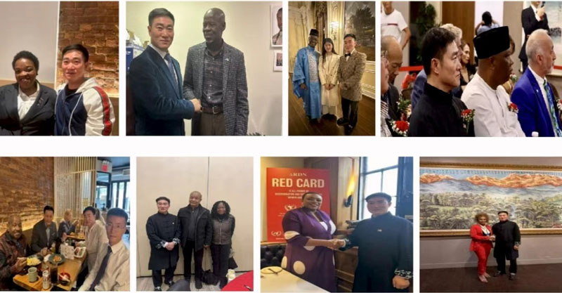 世界艺术家协会正式启动联合国 NGO 咨商地位申办 世界艺术家协会正式启动联合国 NGO 咨商地位申办